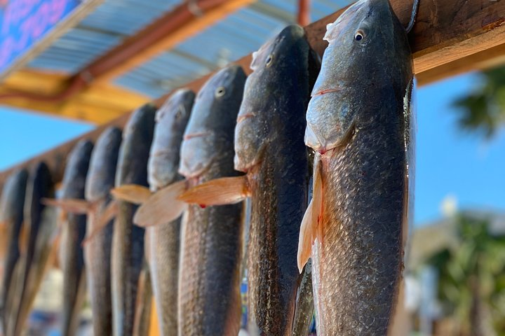 Private Bay Fishing South Padre Island - Photo 1 of 21